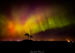 Fairy Tree Aurora